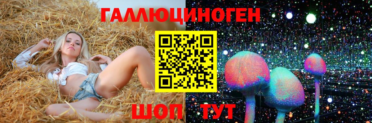 Спасск-Дальний  Псилоцибиновые грибы Psilocybine cubensis  Вход с VPN 